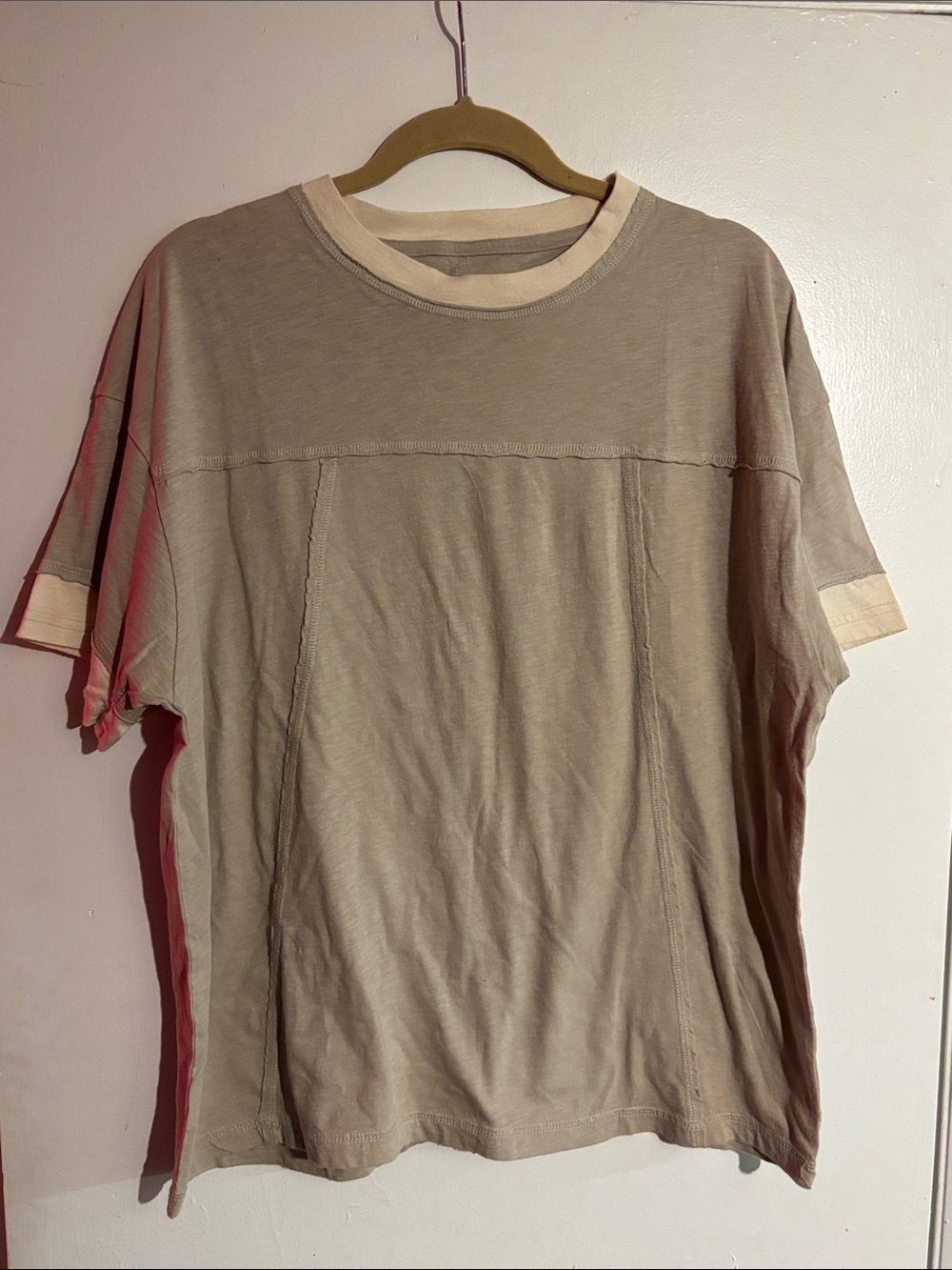 aerie Men's Short-Sleeve Crewneck Tee in Beige with Cream Trim